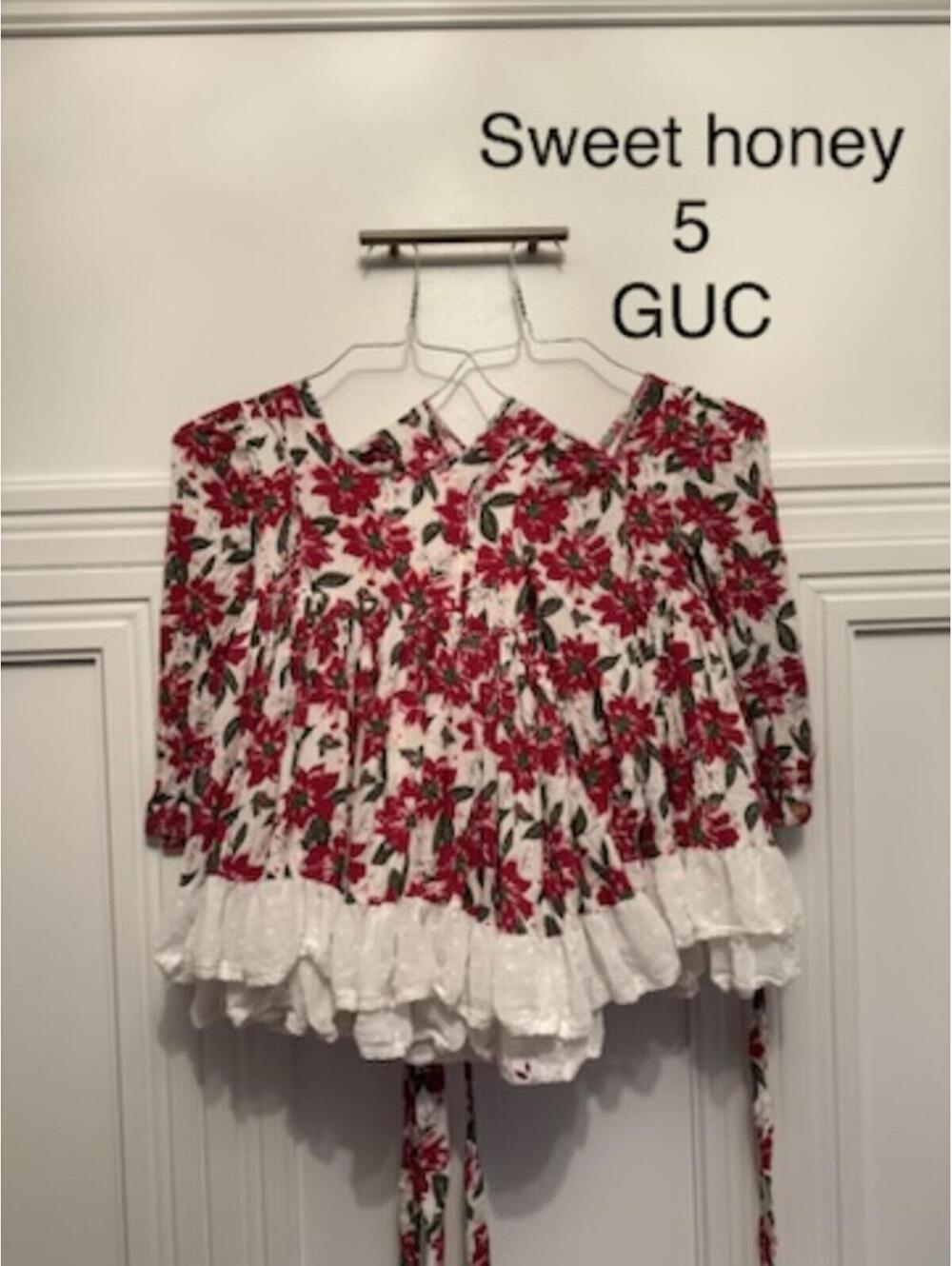 Sweet Honey Floral Dress Size 5